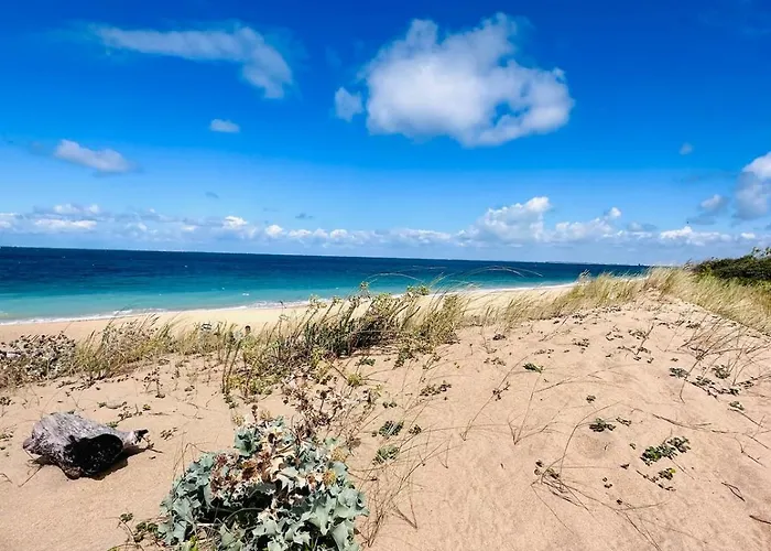 Сasa de vacaciones Spacieuse Avec Piscine Privée Proche De La Oléron Le Château-dʼOléron